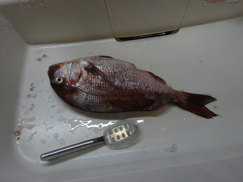 ヘルシオで焼く祝い鯛で正月の食事会